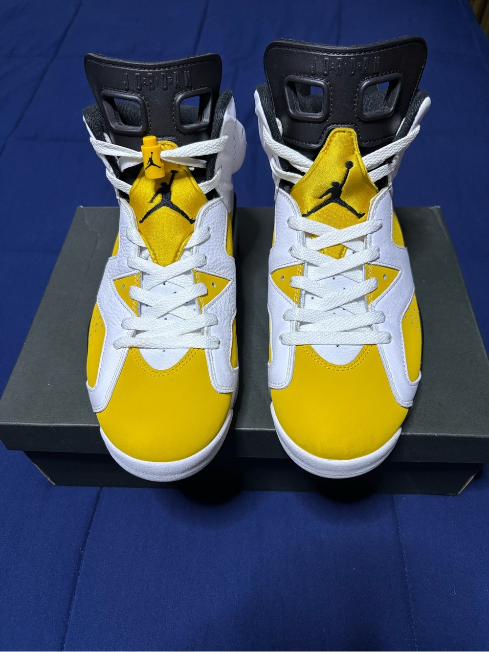Jordan 6 Retro Yellow Ochre 2024 Size 10